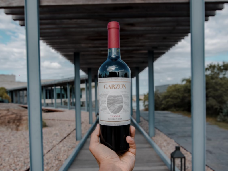 bodega garzón