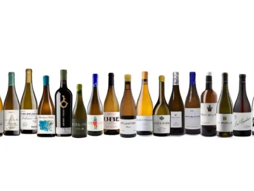 vinos de pasto Jerez