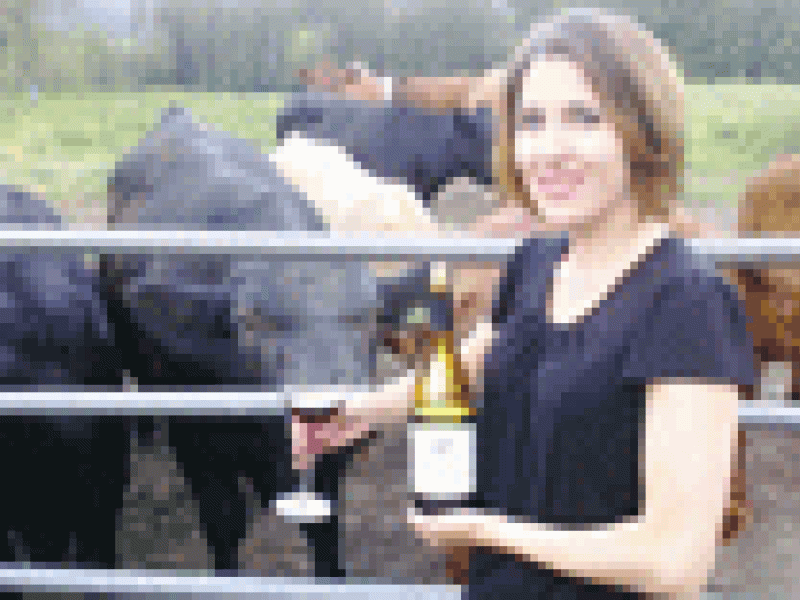 Canadá: Alimentan a las vacas con suplemento de vino tinto