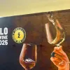 Castilla y León arrasa en los Premios Zarcillo 2025 con más del 55 % de los galardones