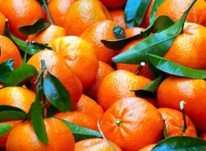 naranja, clementina y mandarina