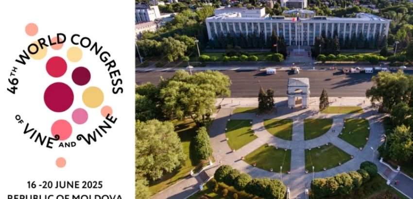 Congreso Internacional de la Viña y el Vino 46 Congreso Internacional de la Viña y el Vino