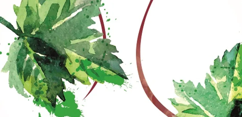 Guía de Vinos y?Aceites 2017 Guía de Vinos y?Aceites 2017