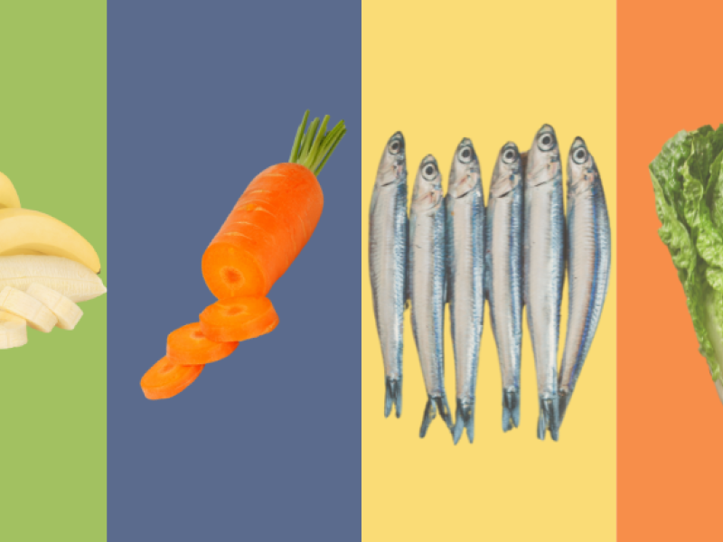 alimentos verano