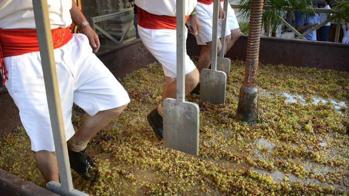 Pisa de la uva de Jerez de la Frontera