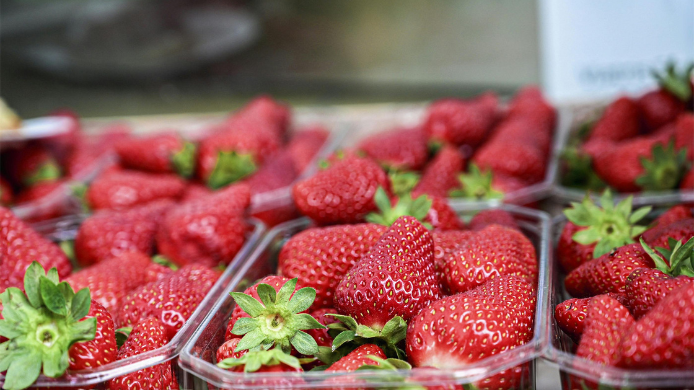 fresas conservadas en plástico
