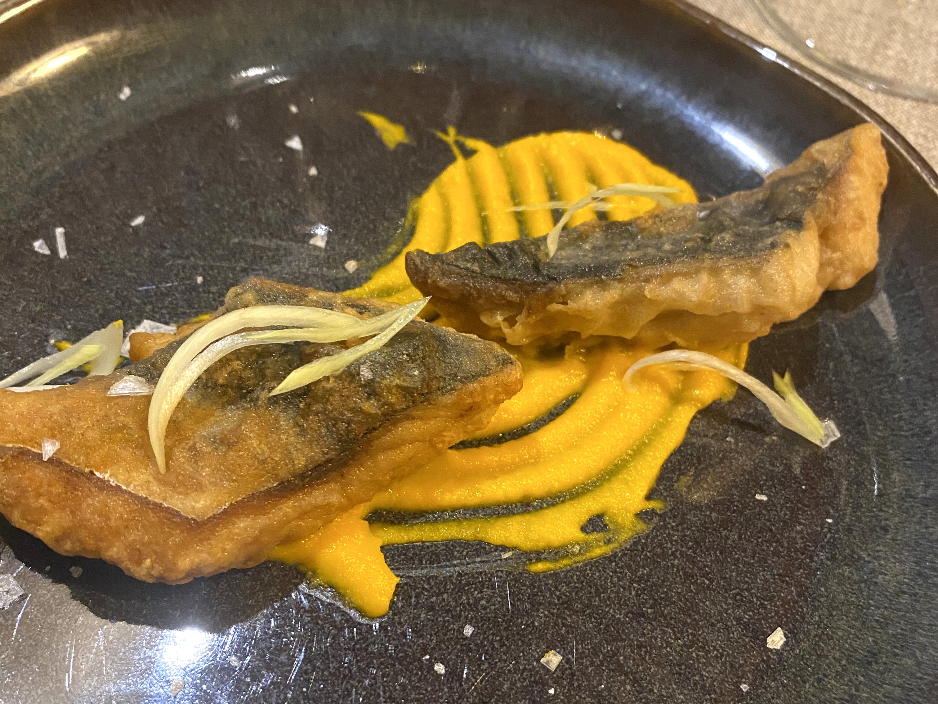 corvina