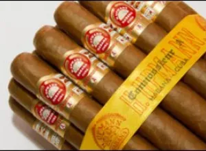 H.Upmann Connossieur A para La Casa del Habano y Especialistas