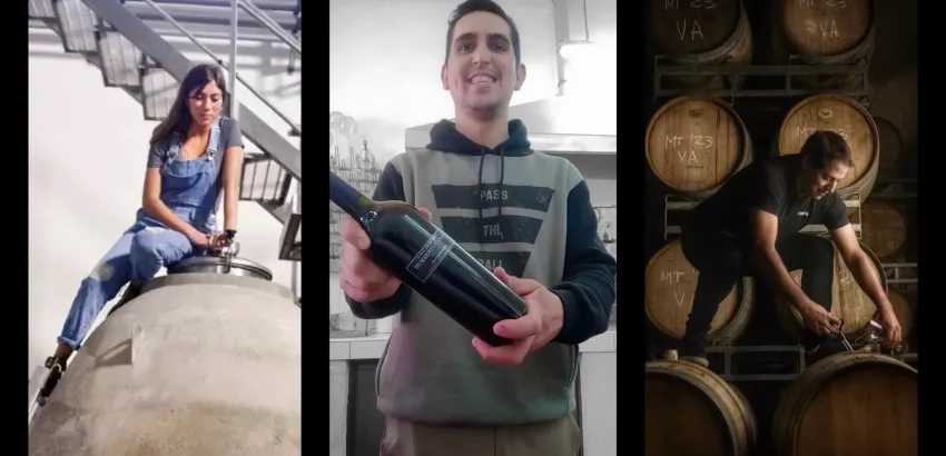 Vinos argentinos