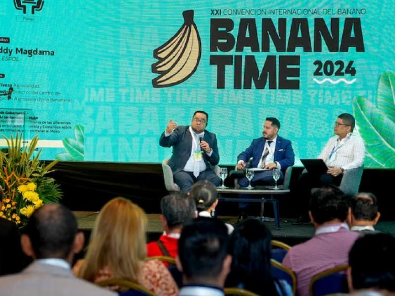 Banana Time 2024
