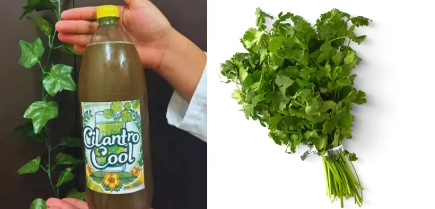 refresco cilantro cool cilantro cool