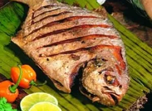 El pescado, útil en todas sus partes