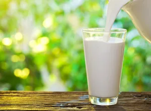 leche