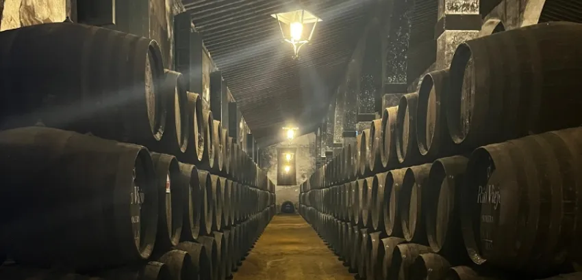 vinos generosos barricas de vinos generosos