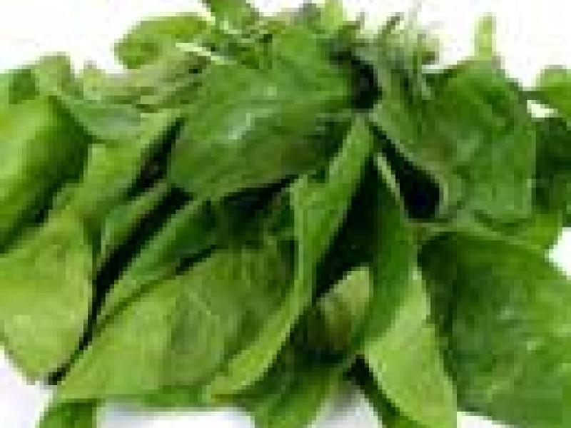 Espinacas: tradicionales delicias de invierno