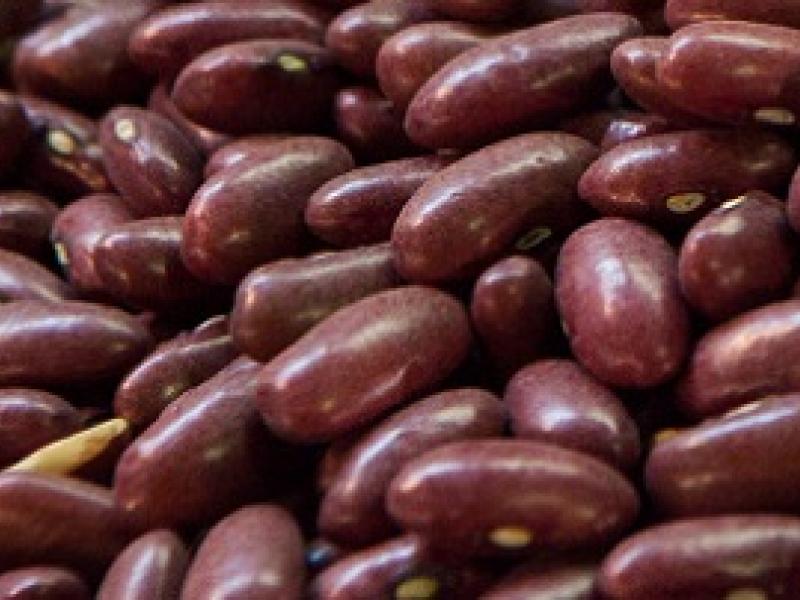 Las legumbres, un beneficio redondo para los huéspedes