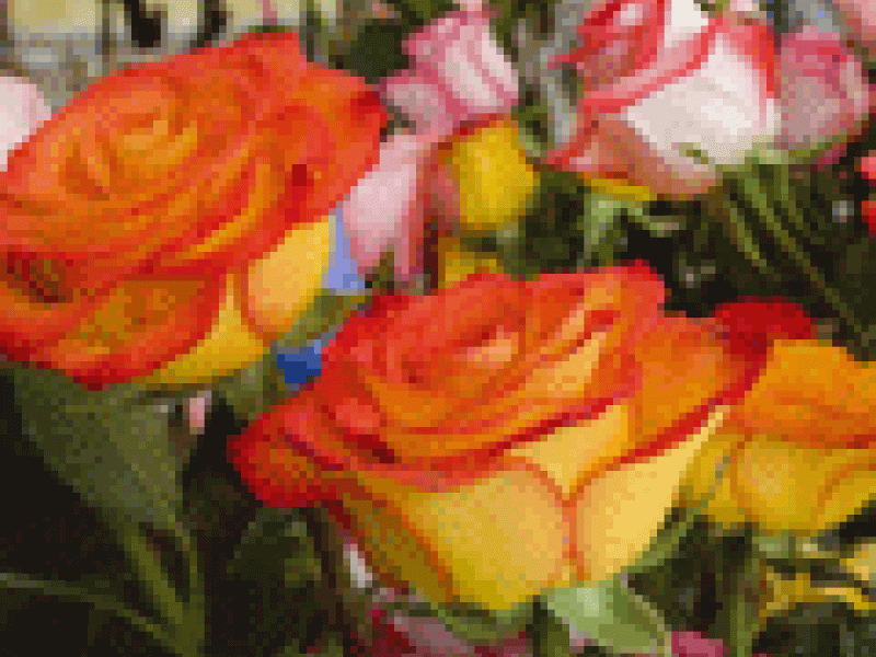 EL lenguaje de las flores