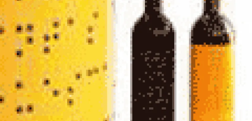 España: Presentan en Valencia vinos etiquetados en braille España: Presentan en Valencia vinos etiquetados en braille