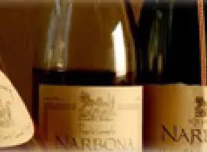 Concurso “Tannat al Mundo” entregó los premios Terruño