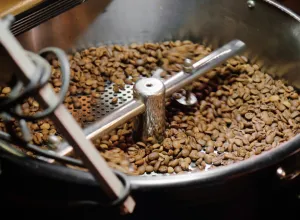 mejor tostador de café