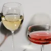 bebidas premium