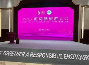 Cumbre Mundial OMET de Enoturismo Responsable en Yantai