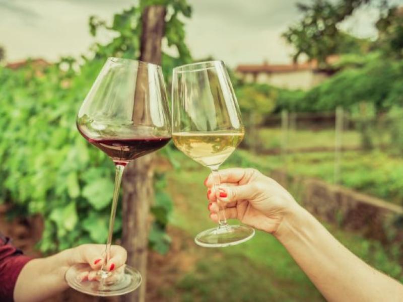 enoturismo vino blanco y tinto
