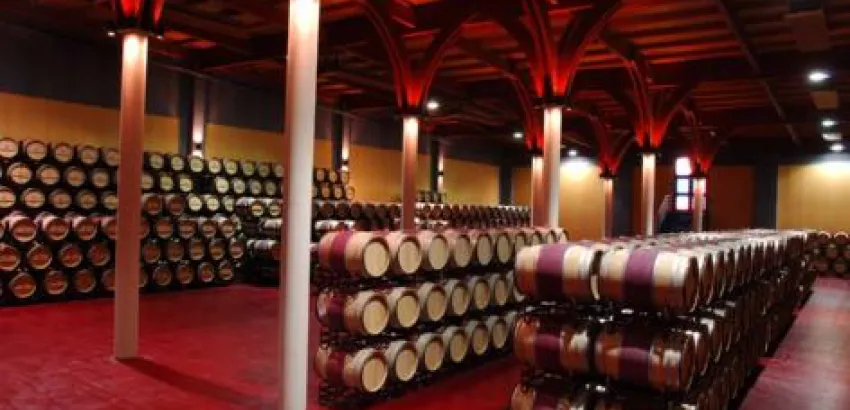 Aumentan las bodegas pero disminuyen los viñedos en La Mancha Aumentan las bodegas pero disminuyen los viñedos en La Mancha
