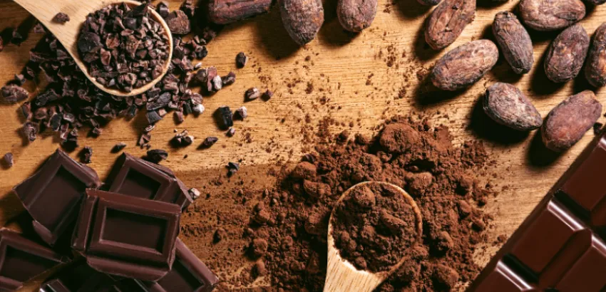 Chocolate del Bienestar es el proyecto federal para la promoción del campo mexicano chocolates del bienestar