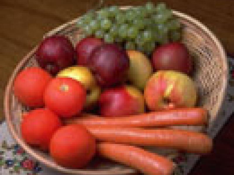 España se ubica como el primer exportador mundial de frutas y hortalizas