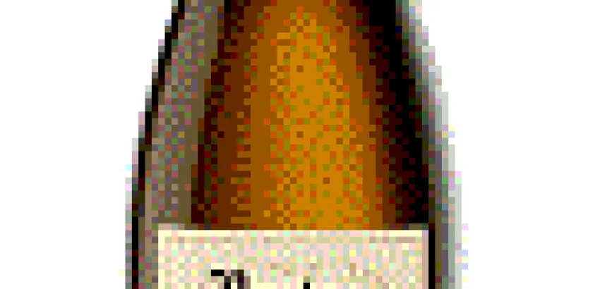 Protos Verdejo 2010, Premio Diamante de Vino y Mujer Protos Verdejo 2010, Premio Diamante de Vino y Mujer