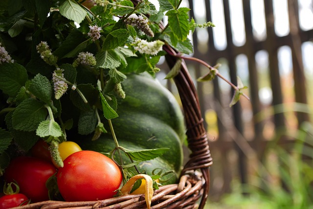 verduras