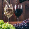 Beber mejor, no más: la nueva cultura del vino