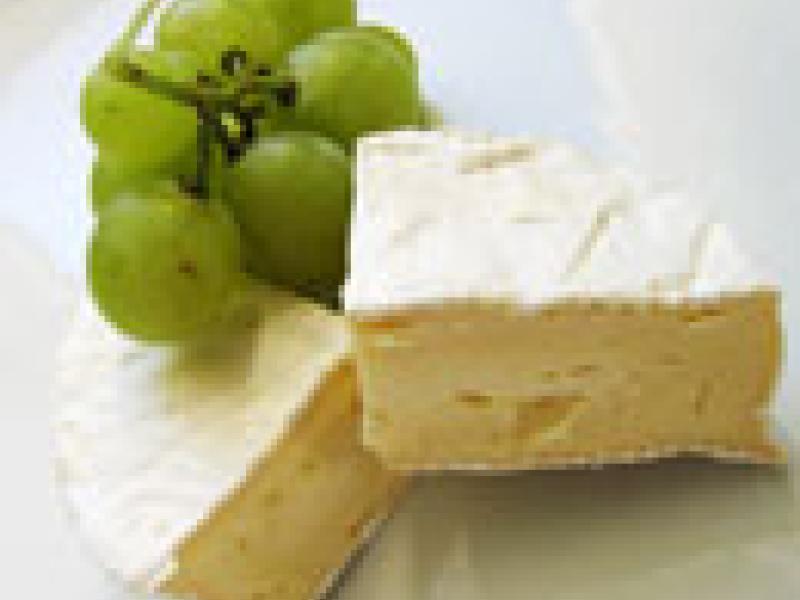 El queso Camembert busca compañía