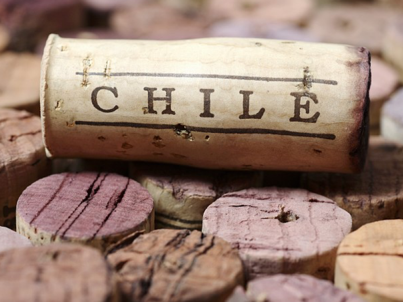 vinos chilenos