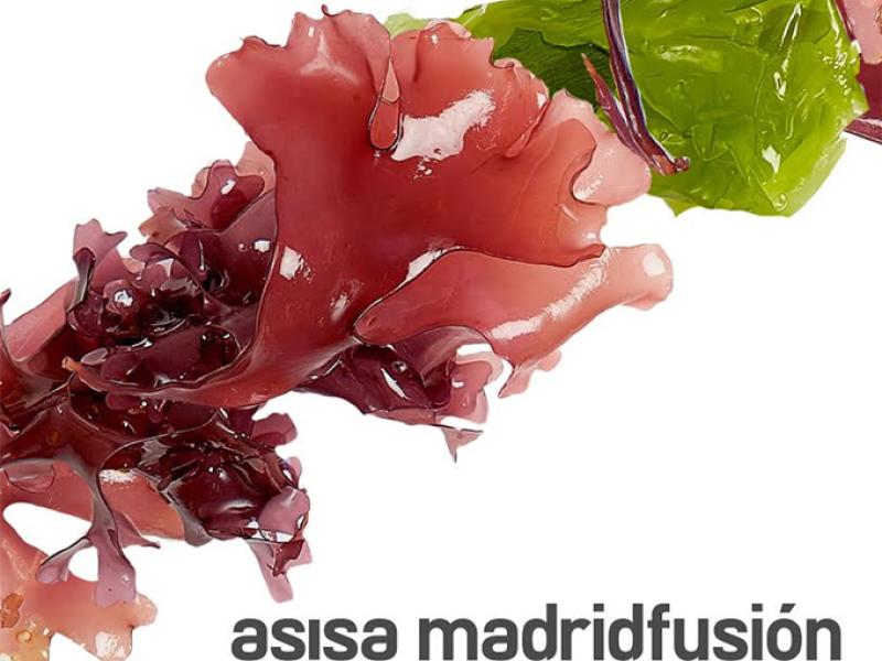 Asisa Madrid Fusión y Saborea España 2017: LO QUE NO TE PUEDES PERDER 