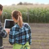 industria agroalimentaria 
