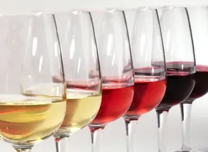 mejores vinos de España