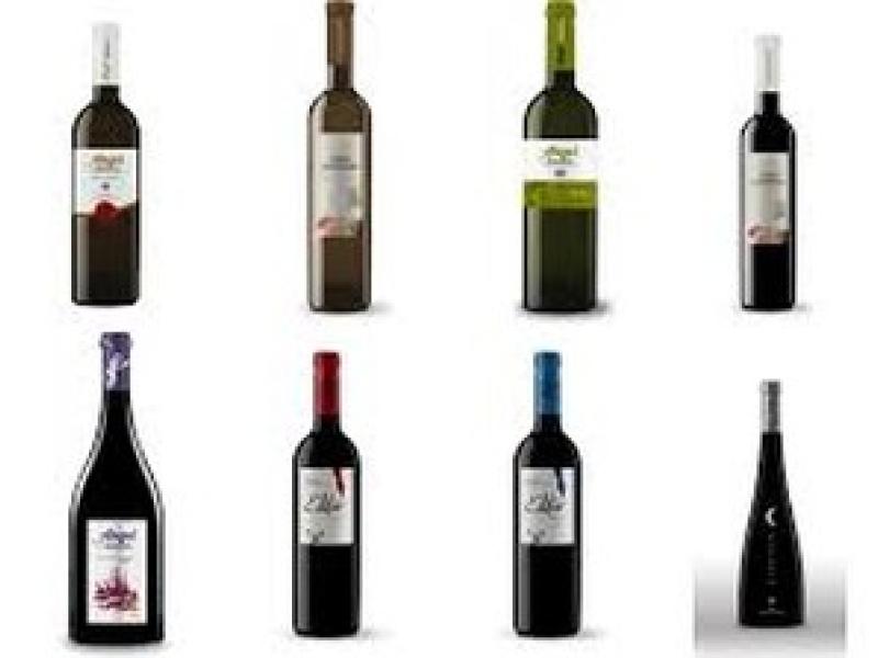 Ángel Santamaría, editor y P. Numbra, la familia de vinos de Bodegas Pagos de Leza 