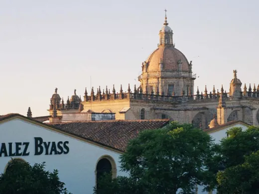 González Byass