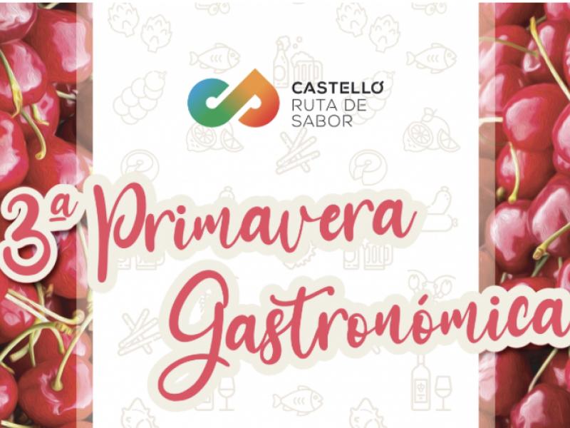 Castellón Gastronómico 