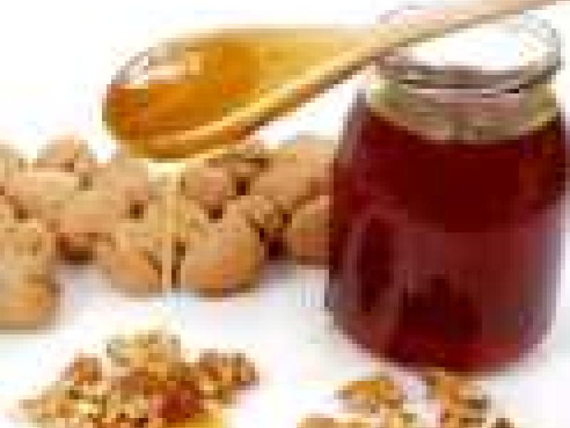 Alimentos y plantas para aliviar la afonía