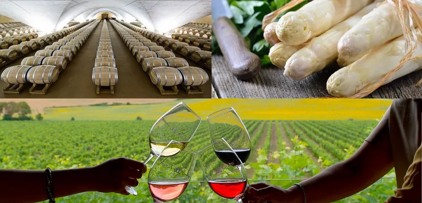 FoodTrex Spain