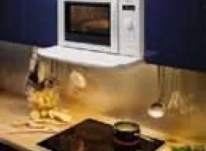 Los mitos sobre el microondas en la cocina