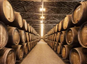 barrica