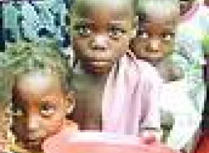 Mundo. Relator especial de la ONU exige una solución a la crisis mundial de alimentos
