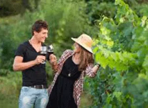 Roses: el`Must que hará que escapes hasta su Ruta del Vino Do Empordà