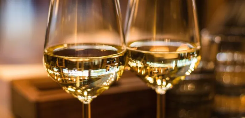 vinos argentinos vinos argentinos