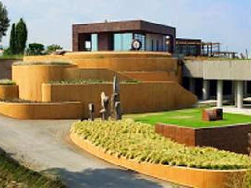 Bodegas Torres, considerada la marca de vinos europea más admirada por los profesionales del sector