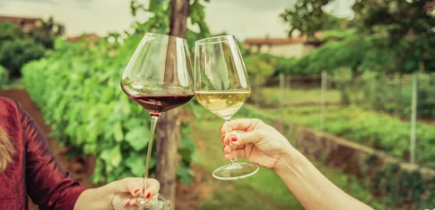 enoturismo enoturismo vino blanco y tinto